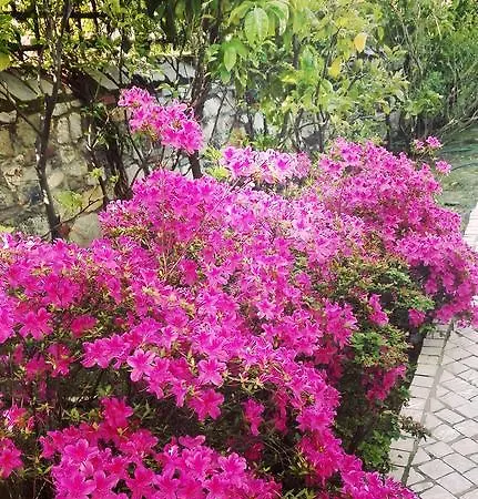 Bed & Breakfast Corte Lotti